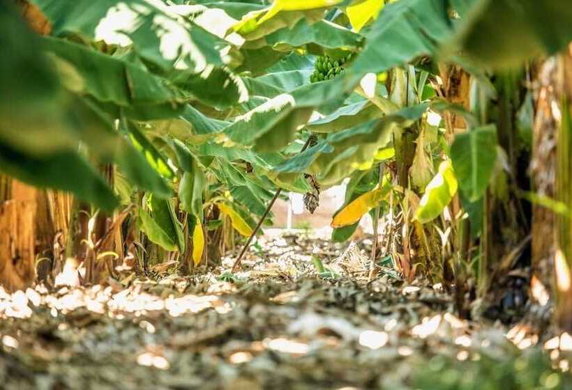 فندق ريفى Rural El Navio - Adults Only