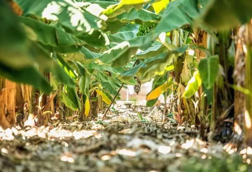 乡村酒店  Rural El Navio - Adults Only