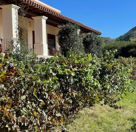 فندق Viñas De Cafayate Wine Resort