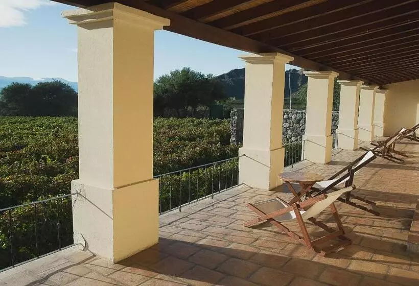 فندق Viñas De Cafayate Wine Resort