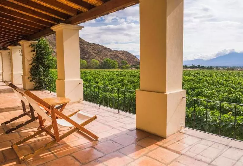 فندق Viñas De Cafayate Wine Resort