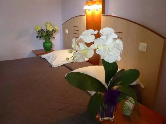 Отель Hôtel le Mas des Ponts d'Arles