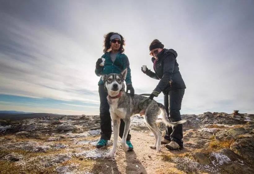 Kakslauttanen Arctic Resort Igloos And Chalets