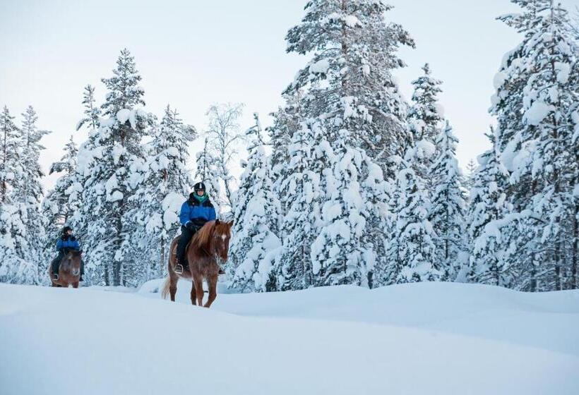Kakslauttanen Arctic Resort   Igloos And Chalets