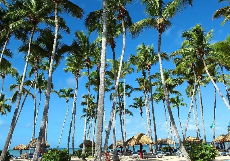 Kurort  Bahia Principe Grand La Romana - All Inclusive
