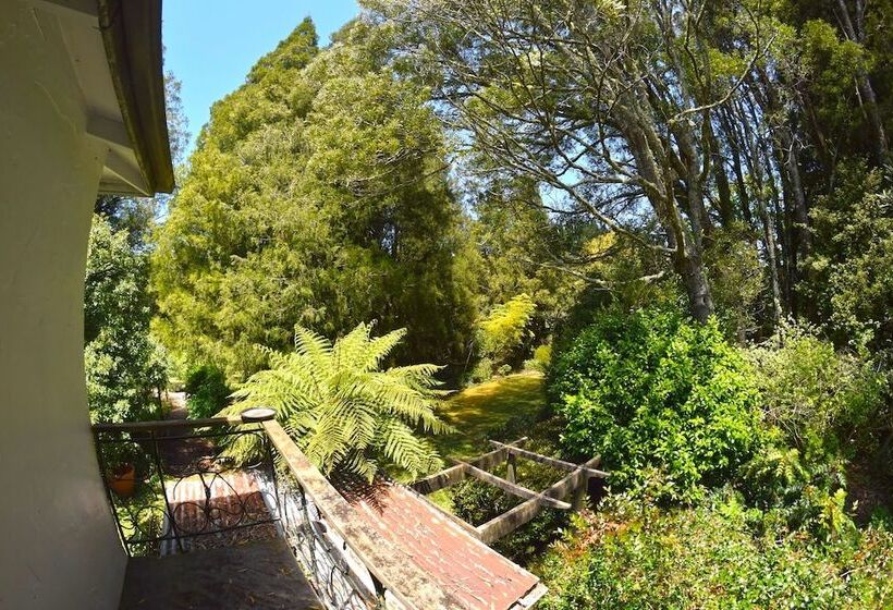ホテル Te Popo Gardens And Accommodation