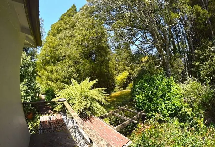 Hotelli Te Popo Gardens And Accommodation