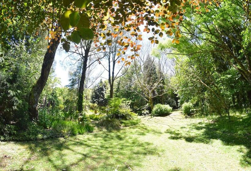 ホテル Te Popo Gardens And Accommodation