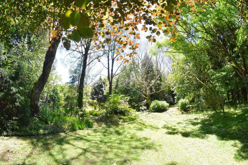 ホテル Te Popo Gardens And Accommodation