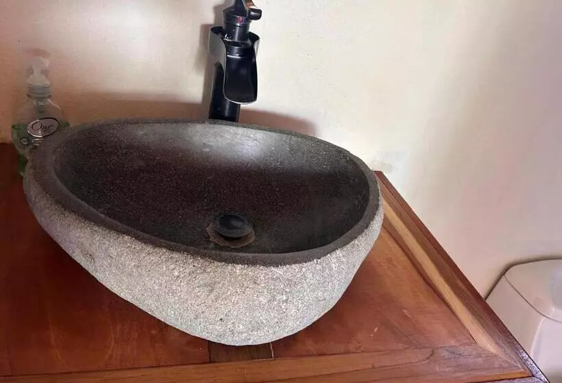 هاستل Monteverde Ecolove