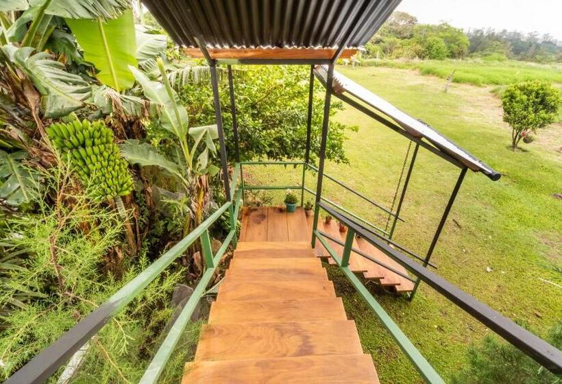 هاستل Monteverde Ecolove