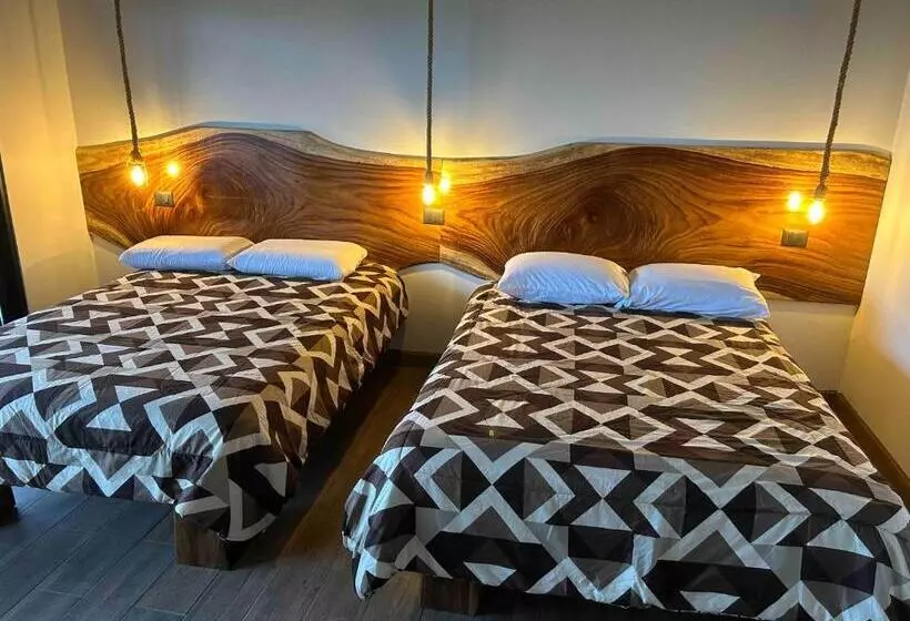 هاستل Monteverde Ecolove