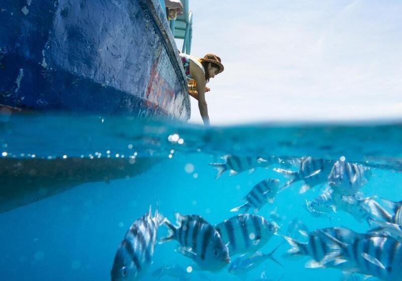 ホテル Beachcomber Island Resort