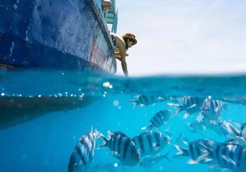 酒店 Beachcomber Island Resort