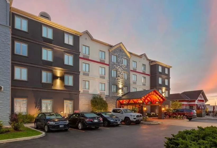 ホテル Executive Residency By Best Western Torontomississauga
