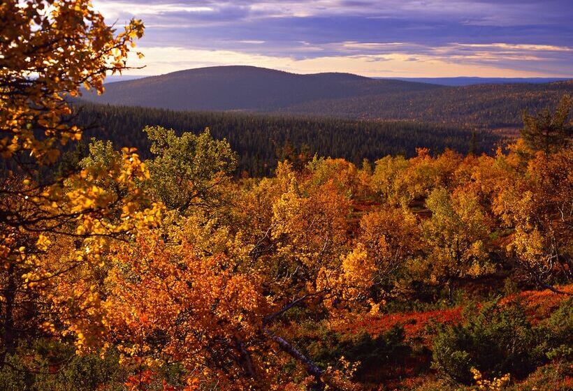 Lapland Hotels Saaga