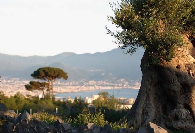 Palazzo Rosenthal Vesuview Hotel & Resort