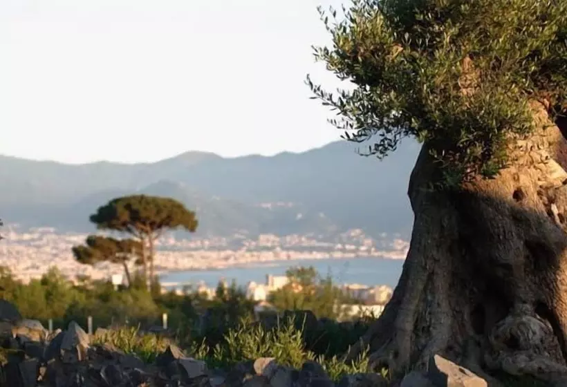 Palazzo Rosenthal Vesuview Hotel & Resort