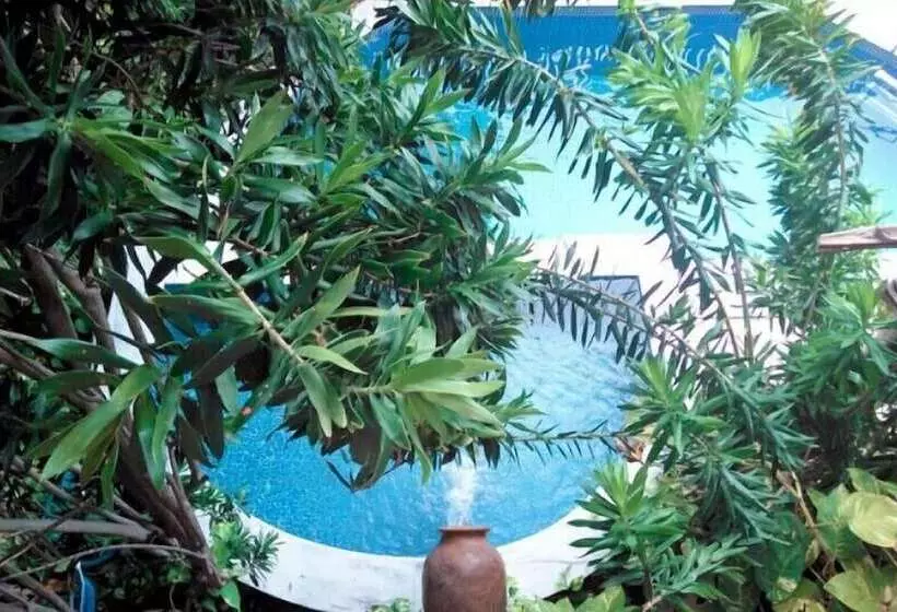 בית מלון כפרי Safari Natal Beach