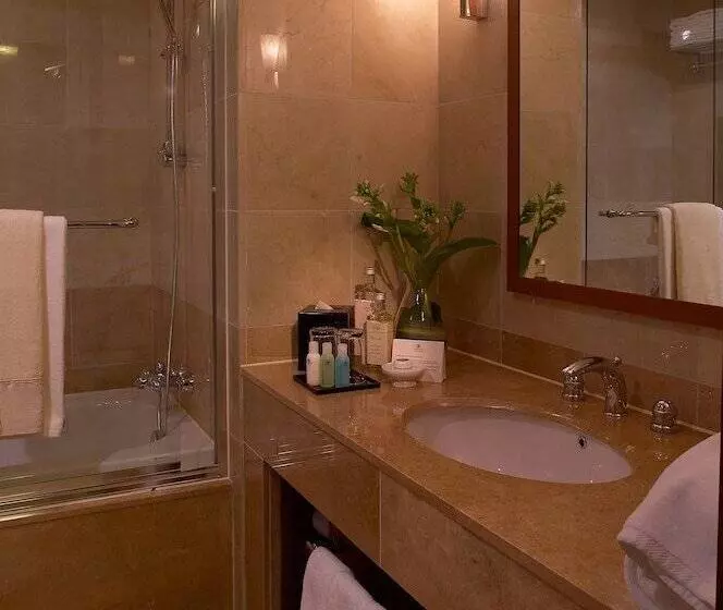 Hotel Somerset Palace Seoul