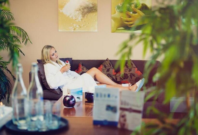 فندق The Maritime