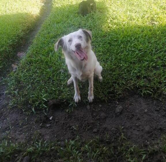 ユースホステル Casa Hostal Bouvá