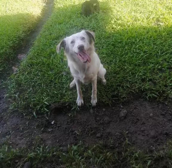 Retkeilymaja Casa Hostal Bouvá