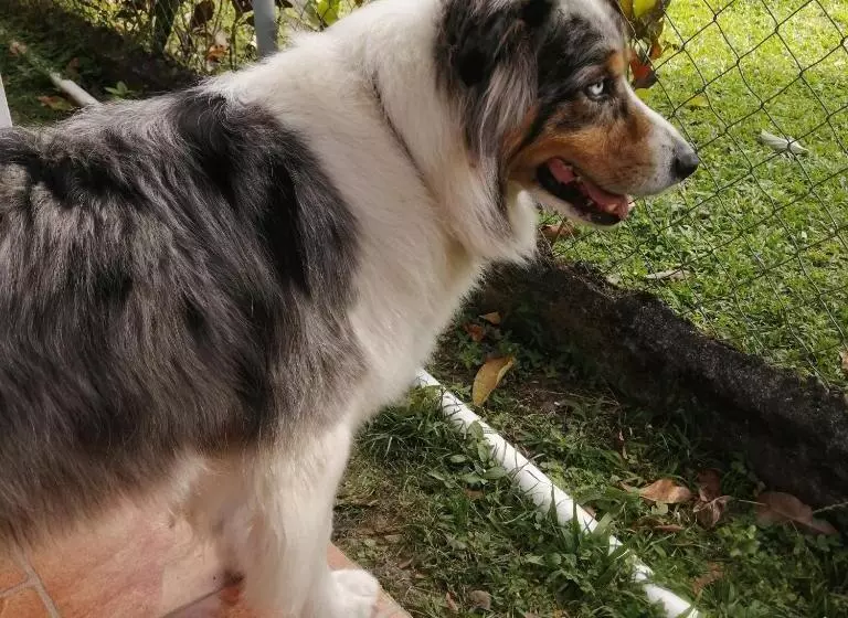 Retkeilymaja Casa Hostal Bouvá