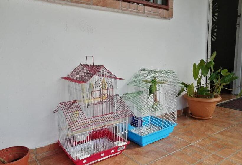 ユースホステル Casa Hostal Bouvá