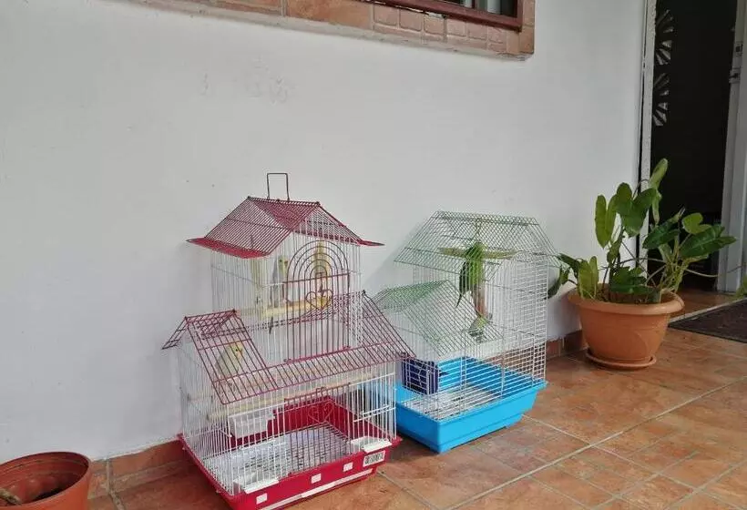 Retkeilymaja Casa Hostal Bouvá