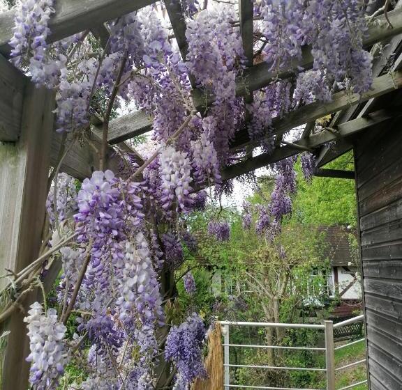 住宿加早餐 Sherwood