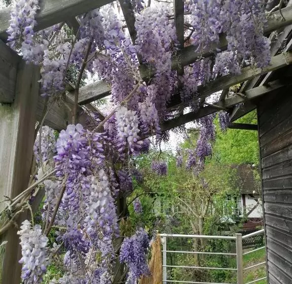 تختخواب و صبحانه Sherwood