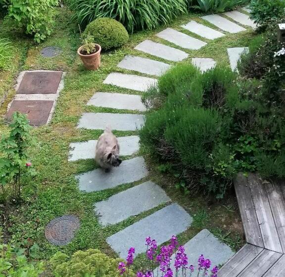 住宿加早餐 Sherwood