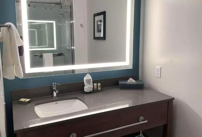 ホテル La Quinta Inn & Suites By Wyndham Littleton Red Rocks