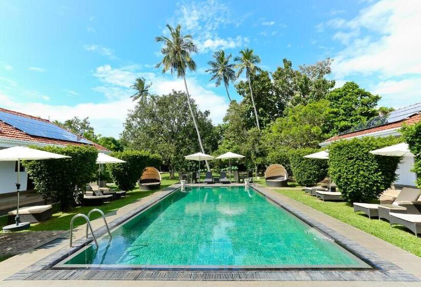 בית מלון כפרי Swanee Grand