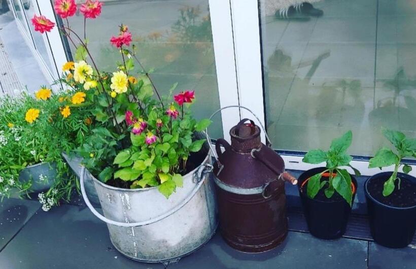 تختخواب و صبحانه De Linderd