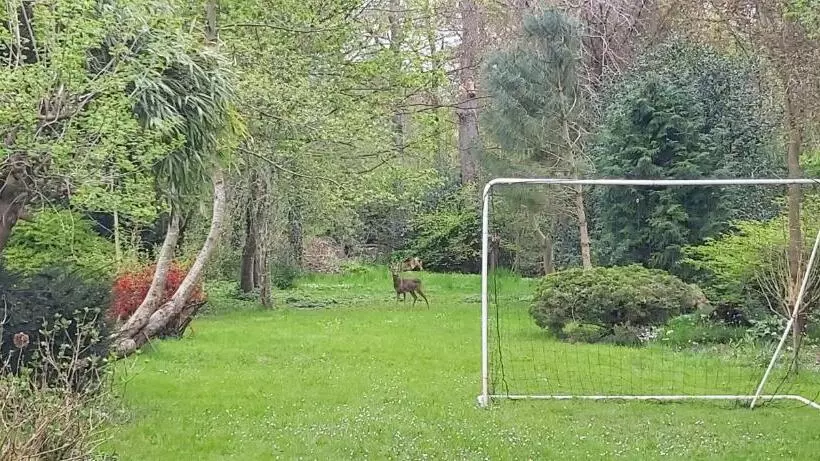 Aamiaismajoitus (B&B) De Linderd