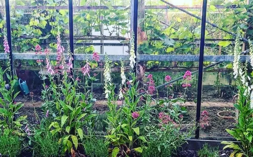 Aamiaismajoitus (B&B) De Linderd