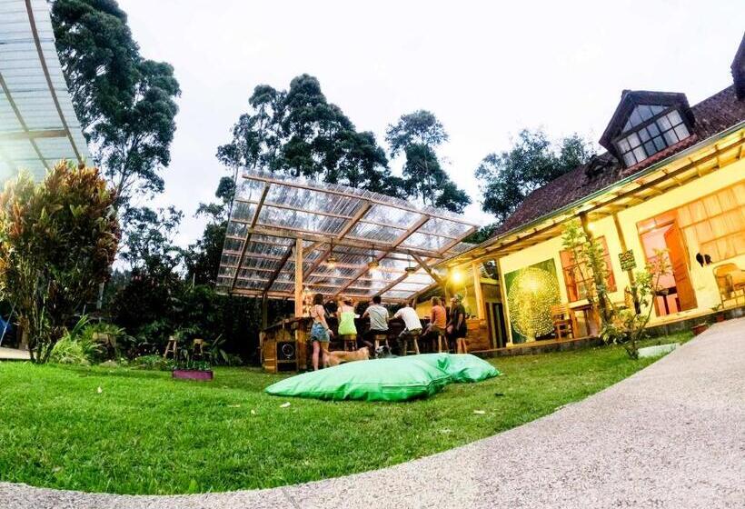 فندق Mama Tungu Hostel