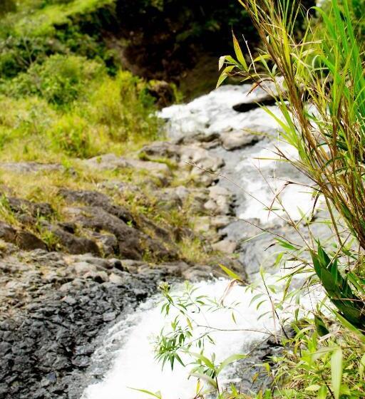 فندق Mama Tungu Hostel