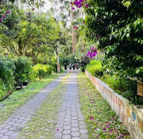 ホテル Mama Tungu Hostel