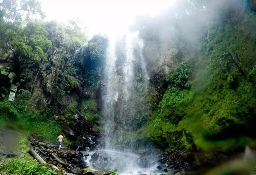 ホテル Mama Tungu Hostel