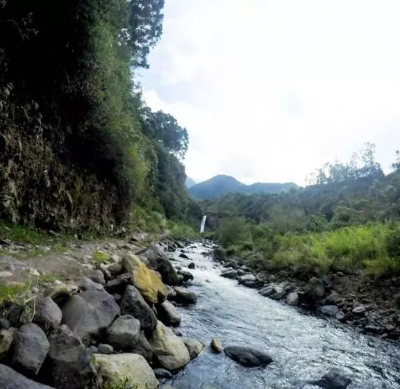 ホテル Mama Tungu Hostel