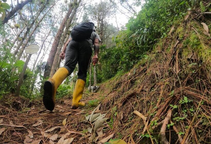 فندق Mama Tungu Hostel