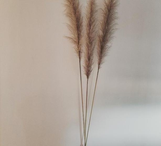 Пансион A La Maison