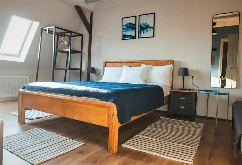 ペンション Casa Hintz Transilvania