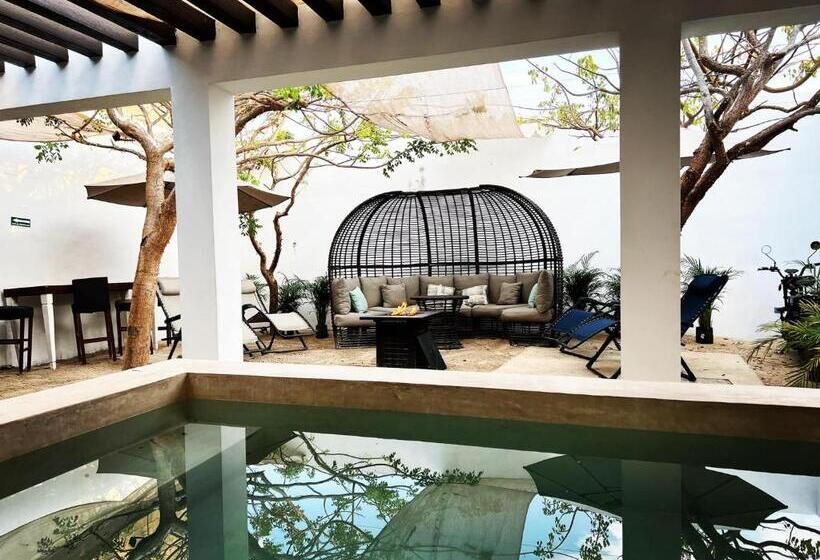 ベッドアンドブレックファースト Amor Progreso