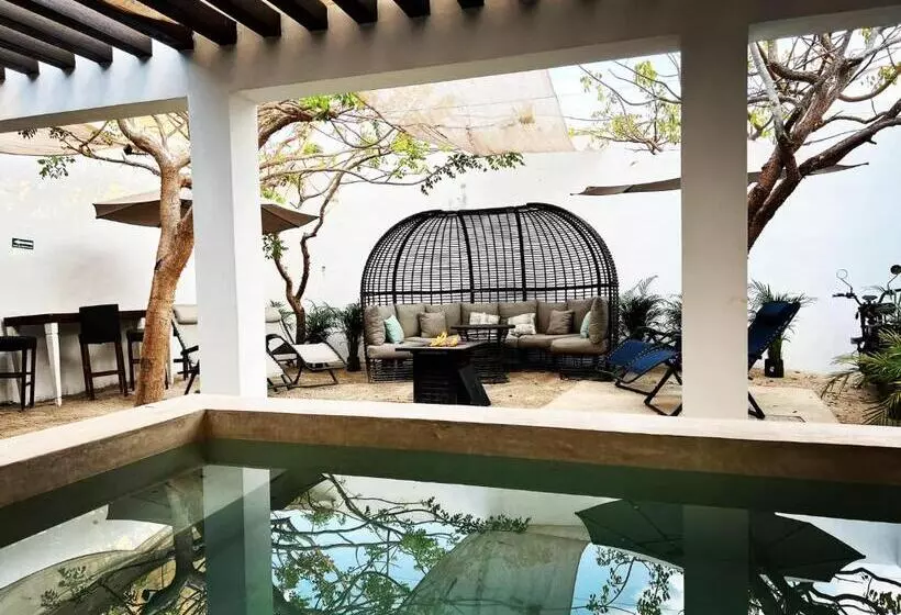 Bed and Breakfast Amor Progreso