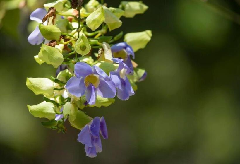 Birds Resort Hambantota