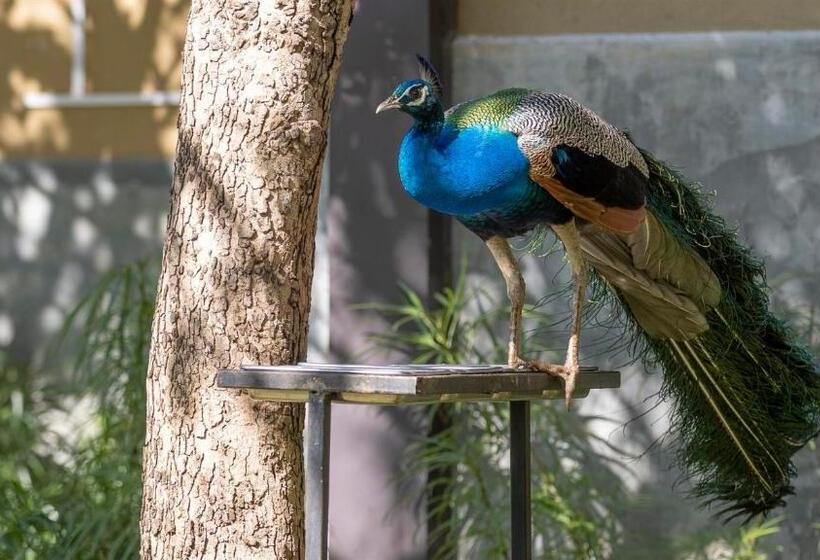 Birds Resort Hambantota